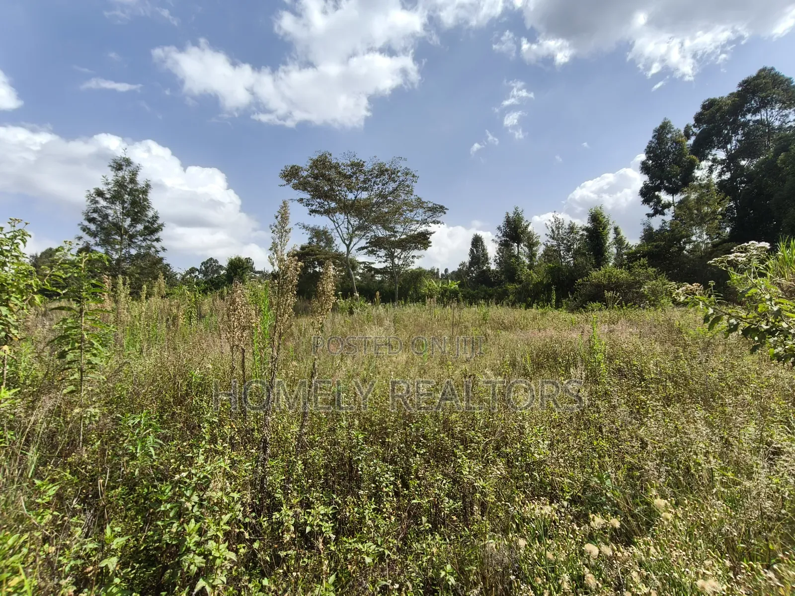 Half Acre Piece Of Land On Sale In Ngong's Ol Keri Area