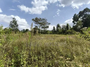 Half Acre Piece Of Land On Sale In Ngong's Ol Keri Area