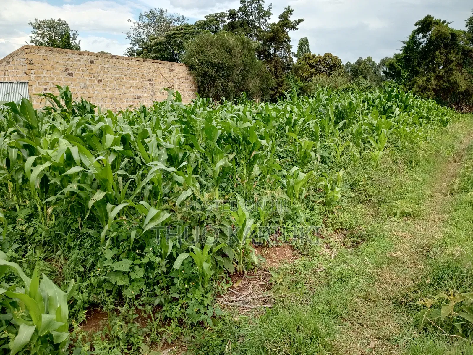 Prime Plots for Sale