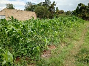 Prime Plots for Sale - thumbnail 2