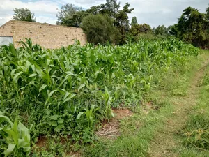Prime Plots for Sale