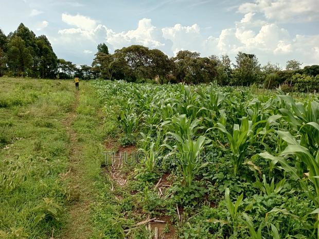 Prime Plots for Sale - thumbnail 13