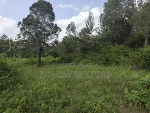 Eighth Acre Plot on Sale in Ngong, Ol Keri Good for a Home