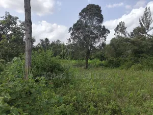 Eighth Acre Plot on Sale in Ngong, Ol Keri Good for a Home