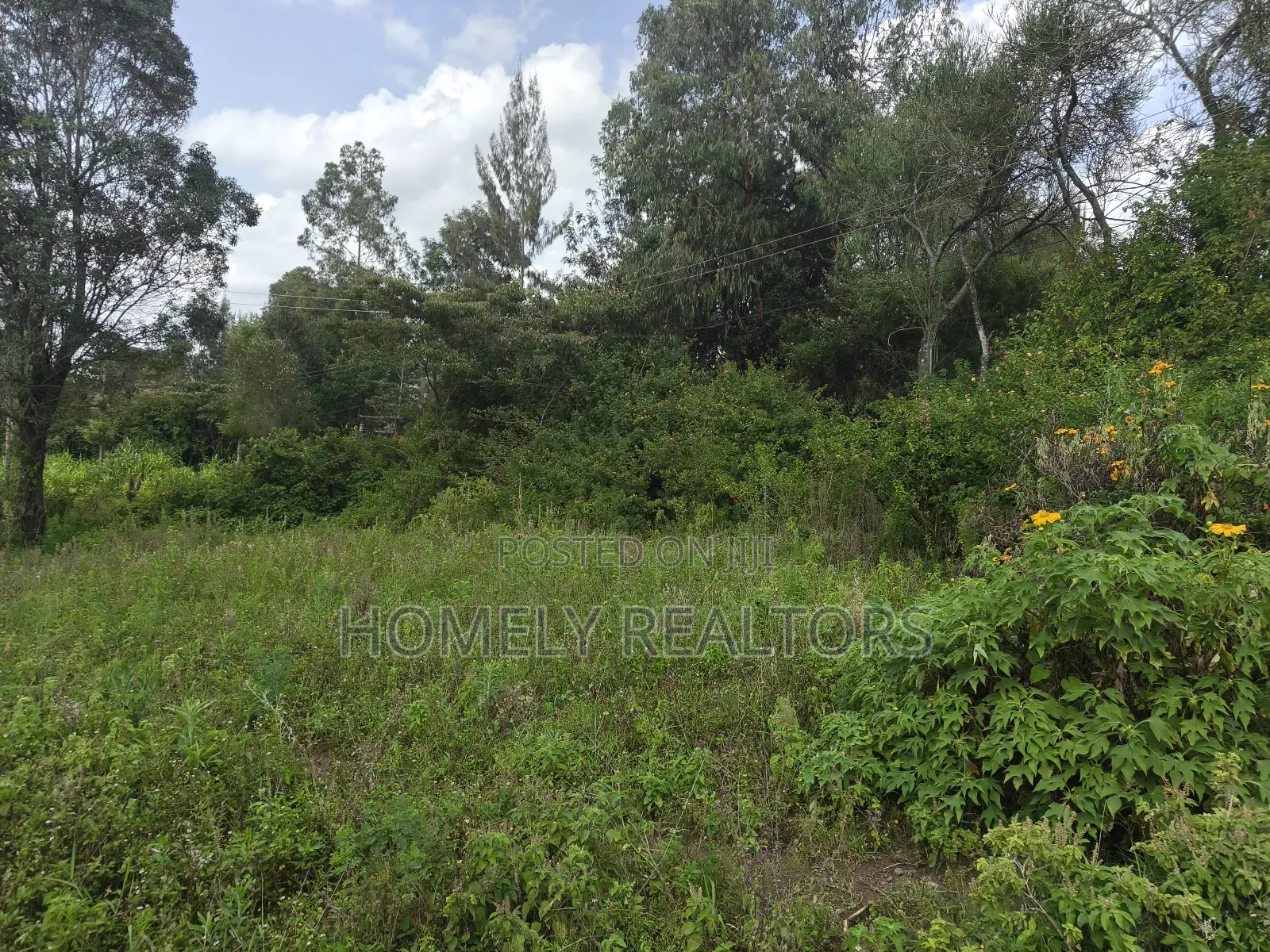 Eighth Acre Plot on Sale in Ngong, Ol Keri Good for a Home