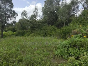 Eighth Acre Plot on Sale in Ngong, Ol Keri Good for a Home