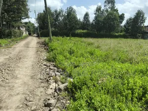 Half Acre Plot on Sale in Ngong, Matasia, Memusi Area