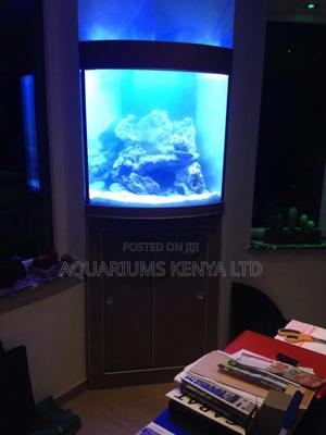 Front Curved Custom-Made Aquarium - thumbnail 2