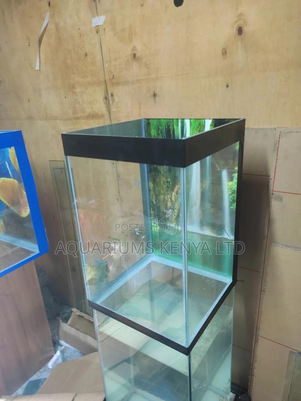 1 1⁄2foot Vertical Aquarium ,Complete Set With Fish - main view