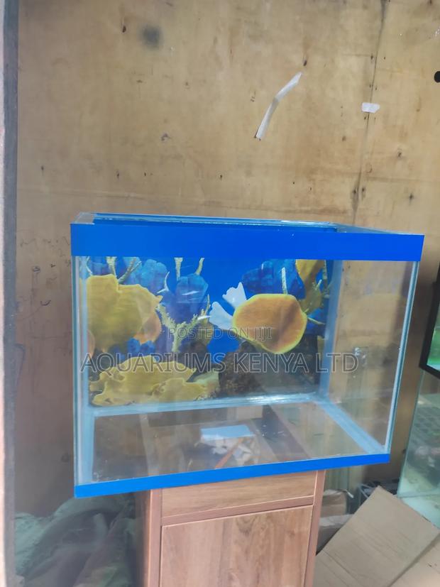 Self Setup , Empty Aquarium - main view