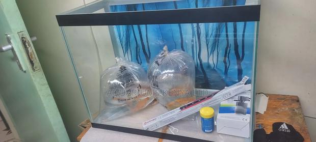 70l Aquarium Fish Tank - main view