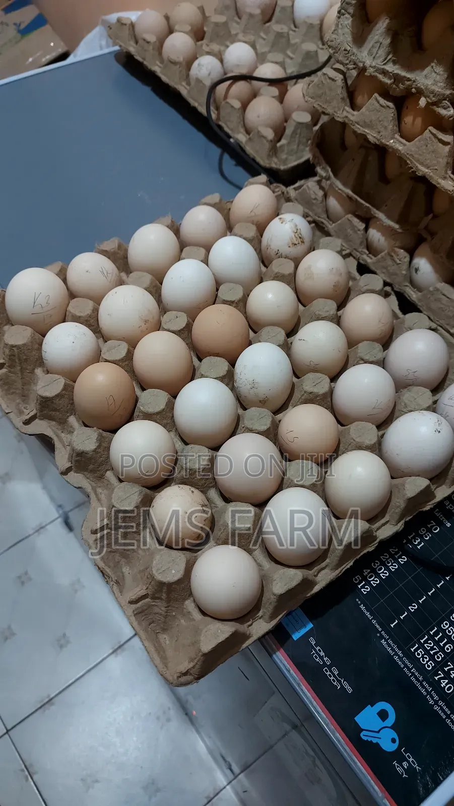 Fertilised Pure Kienyeji Eggs for Hatching