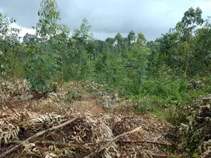 1.18 Acre Kamuchege, Lower Lari