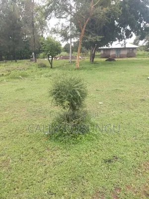 3⁄4 of an Acre Along Nairobi Road Near Alendu