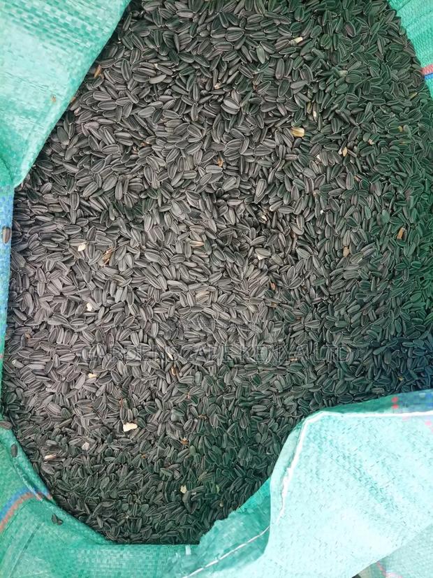 Oil Extraction Sunflower Seeds Per Kg - thumbnail 4