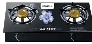 2burner Ailyons Cooker