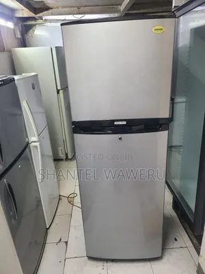 Icec Refrigerator Double Fridge