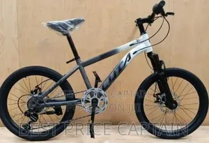 Size 20 Children Bicycle.