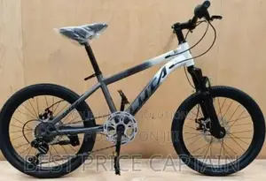 Size 20 Children Bicycle.