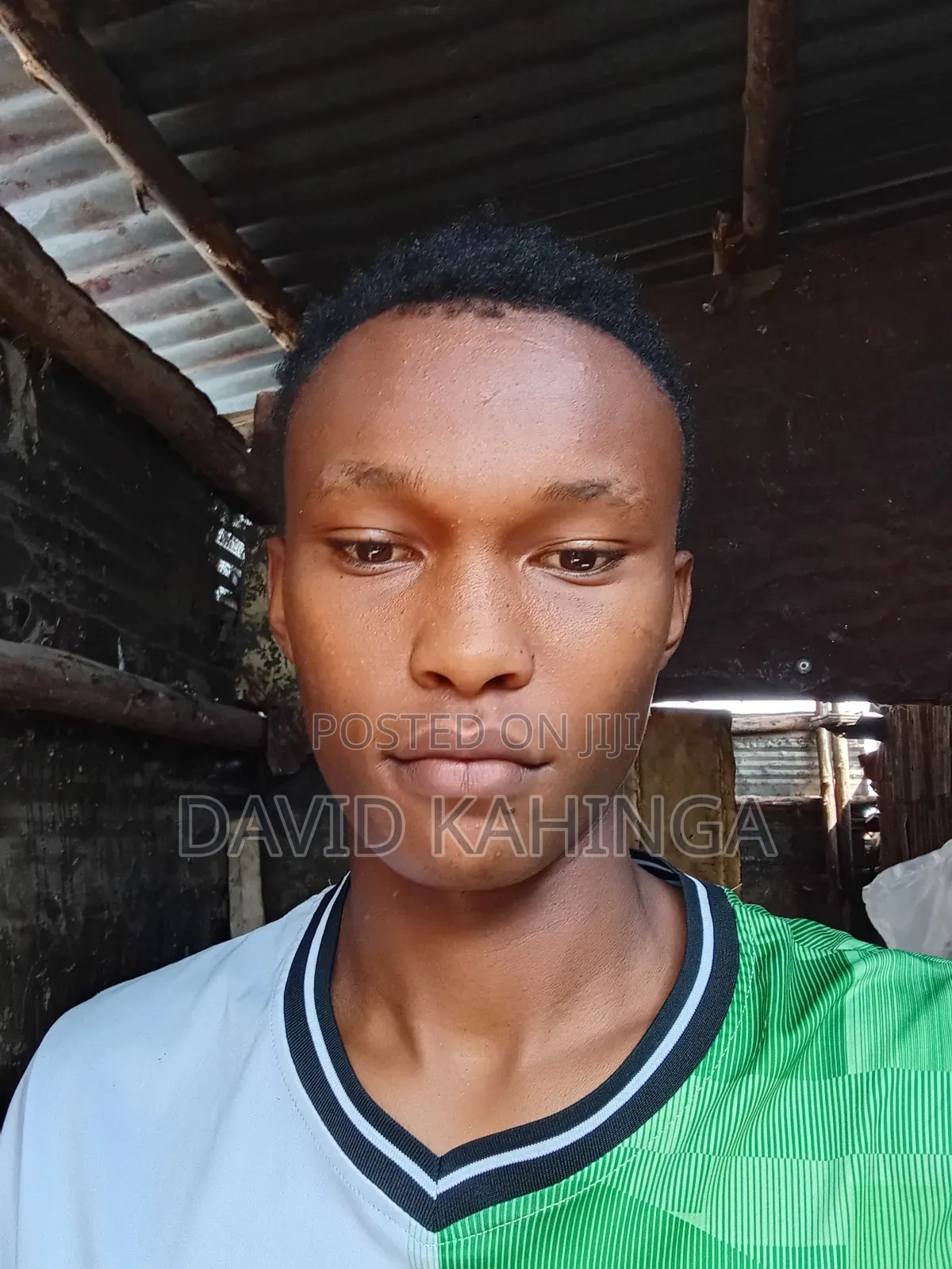 Sales Person