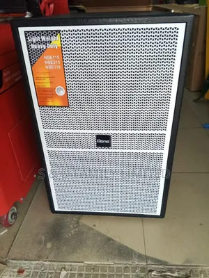 Aone Ns115 Midrange Speaker