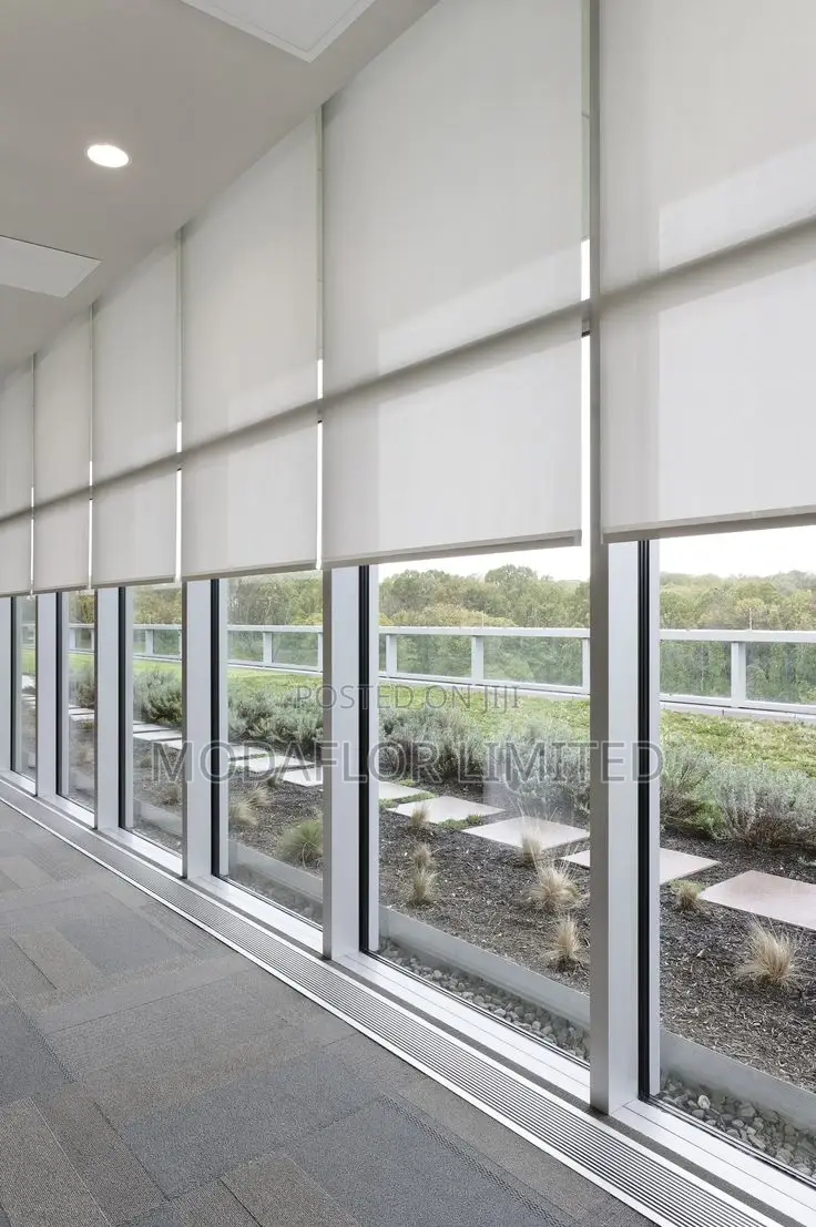 Sunscreen Roller Blinds – Your Smart Solution to Sun Glare