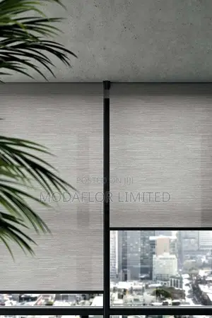 Sunscreen Roller Blinds – Protect, Save, and Style