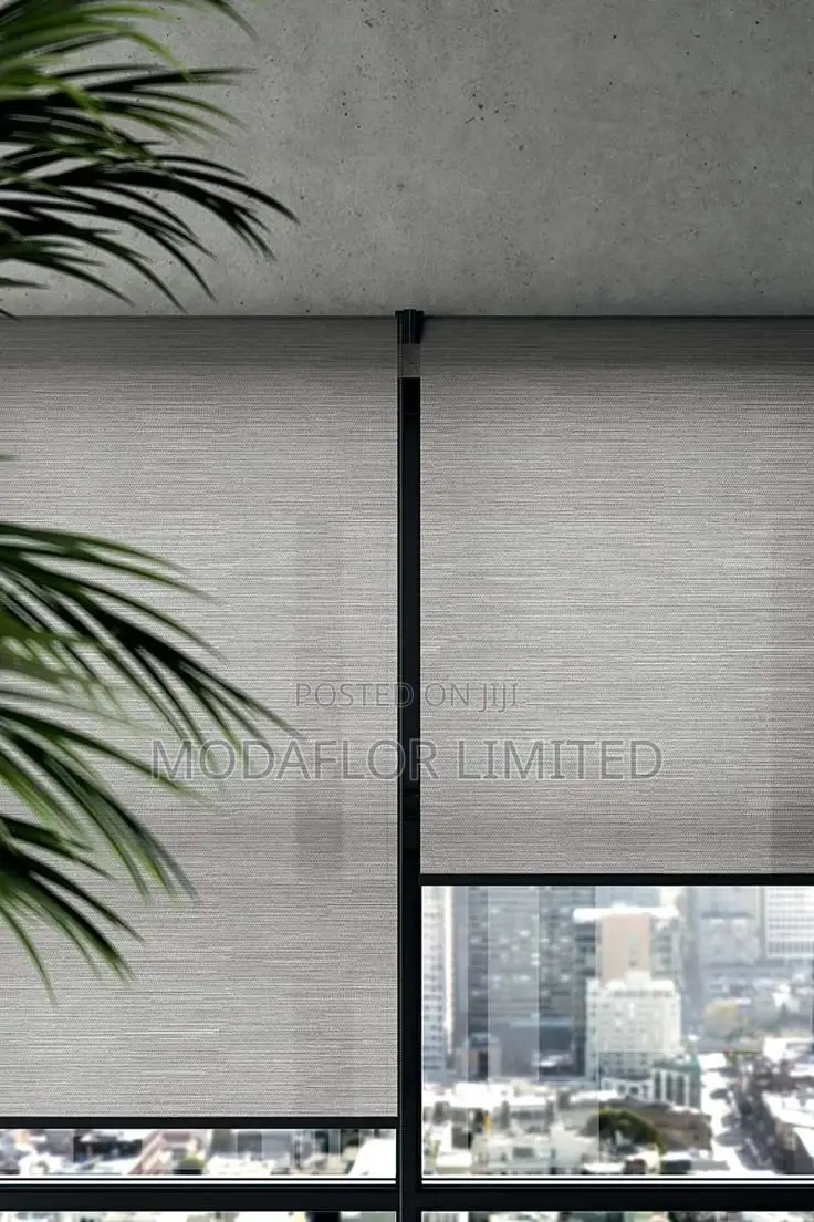 Sunscreen Roller Blinds – Protect, Save, and Style