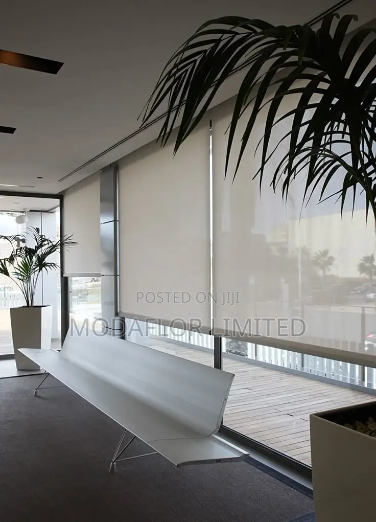 Sunscreen Roller Blinds – Effortlessly Modern Functional