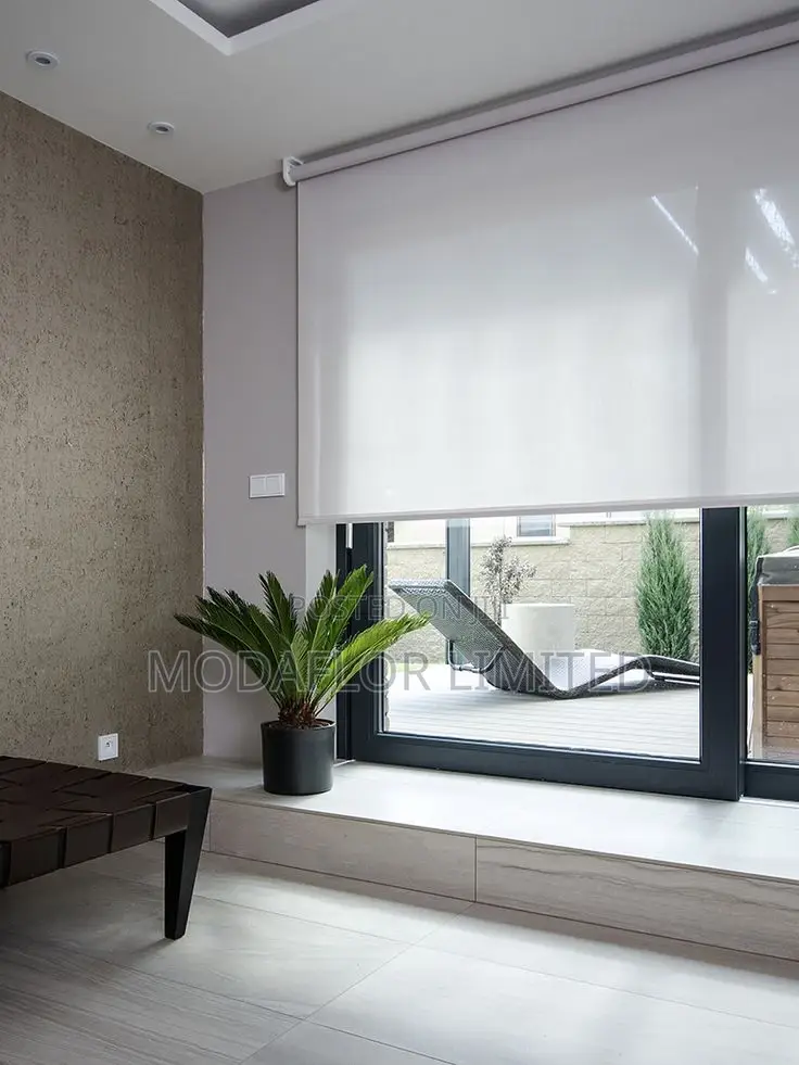 Sunscreen Roller Blinds – Easy to Roll, Hard to Resist