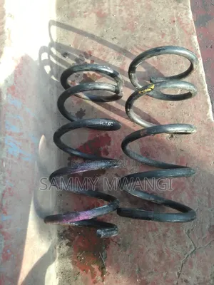 Vw Passat Heavy Duty Coil Springs for Ground Clearance 