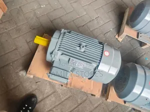 STCL Italy 30hp Electric Three Phase Motor