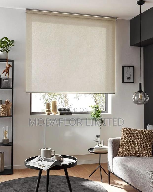 Sunscreen Roller Blinds Control the Light, Control the Vibe - main view