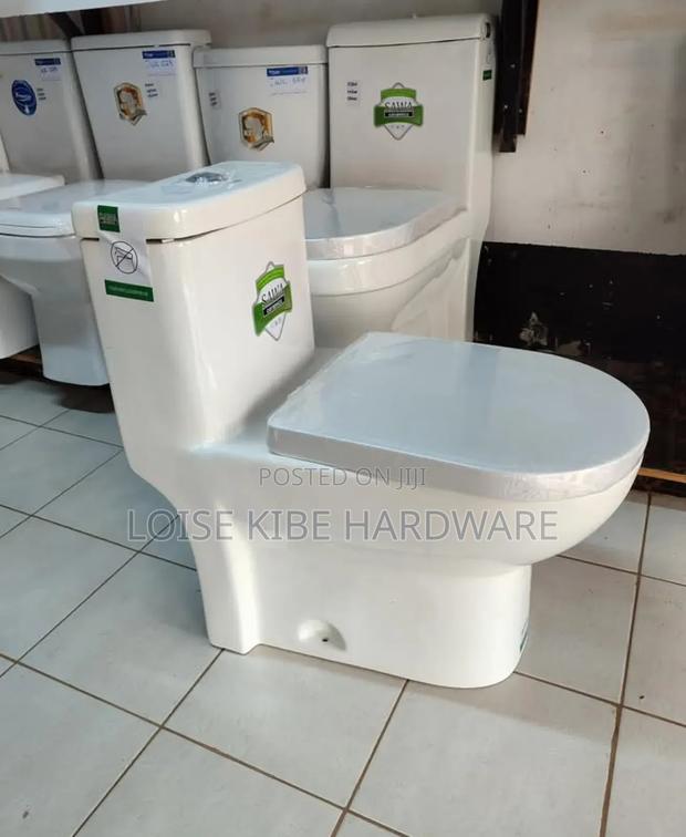 New One Piece Toilet Available - main view