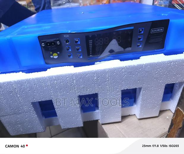 64 Eggs Incubator