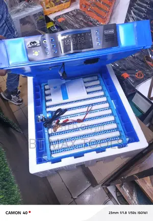 64 Eggs Incubator
