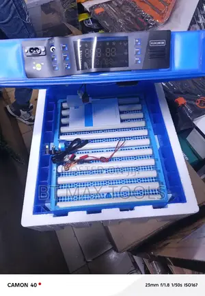 64 Eggs Incubator