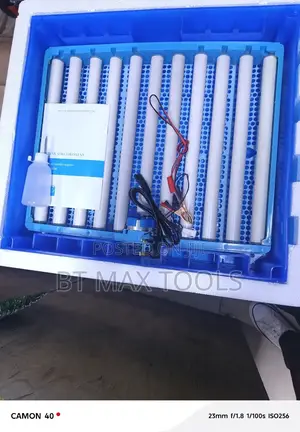 Generic 64 Eggs Incubator