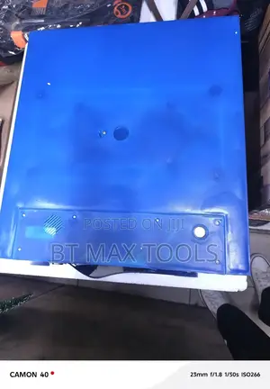 Generic 64 Eggs Incubator