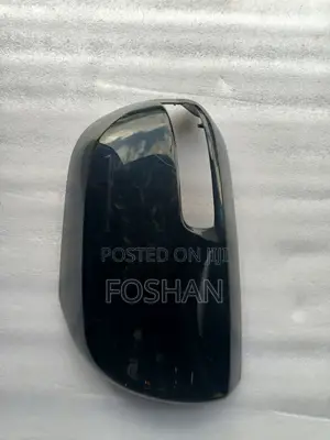 Side Mirror Cover Vanguard