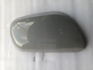 Side Mirror Cover Axio With No Indicator