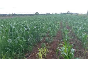 Katani Plots for Sale - thumbnail 2