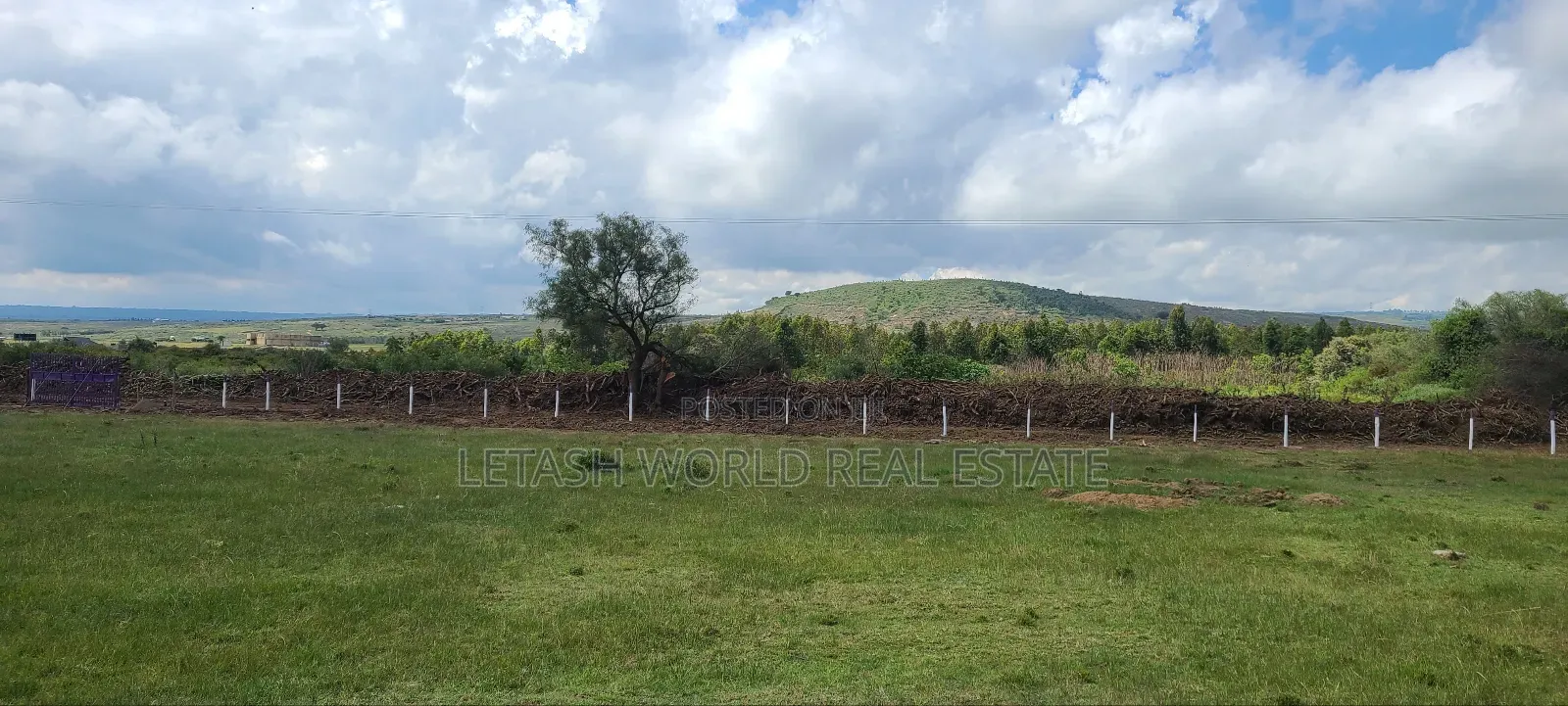 Prime Plots 1km Feom the Highway,50 by 100