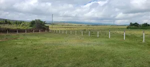 Prime Plots 1km Feom the Highway,50 by 100