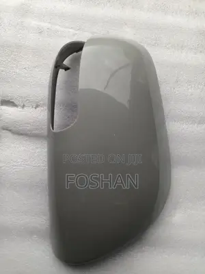 Side Mirror Cover Axio 2007 With Indicator