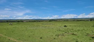Prime Plots Lake View Phase 6, 40 by 100