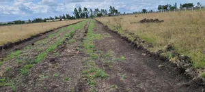 Grab a Piece of Land in Kitengela for Ksh1.49 Million.