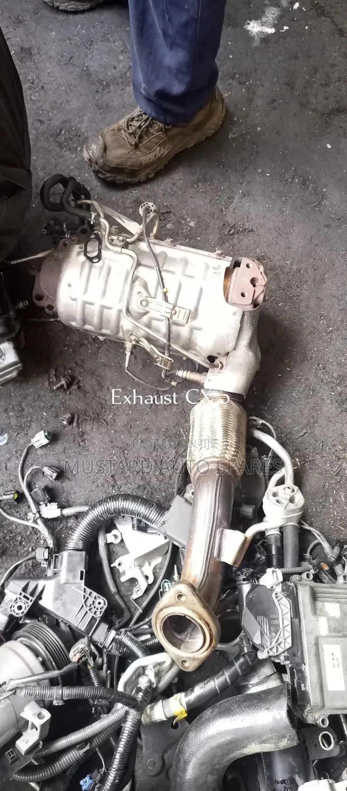Cx Exhaust System Complete