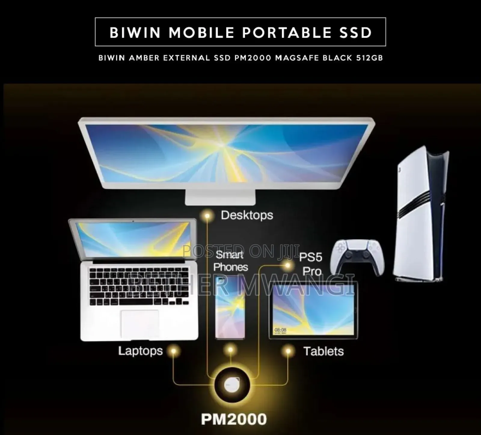 Biwin Mobile Portable SSD in Kenya