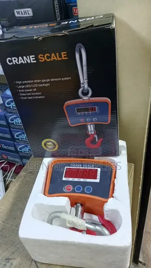 Commercial 500kg Mini Crane / Affordable Mini Crane 500 Kg